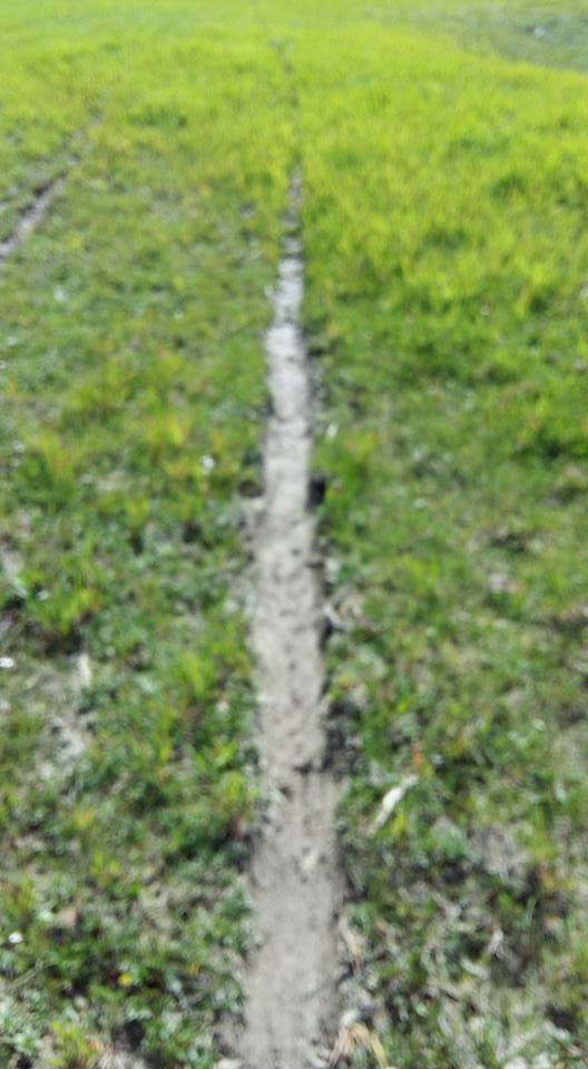 avioni gjurmet e avionit te droges 1