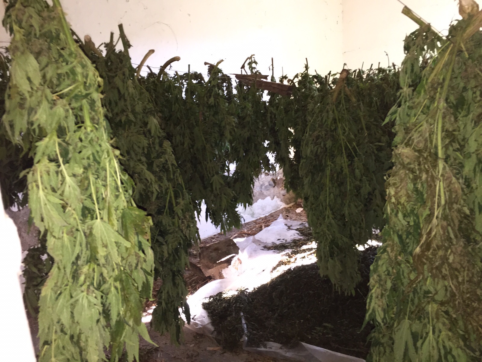 img-20151013-wa00141