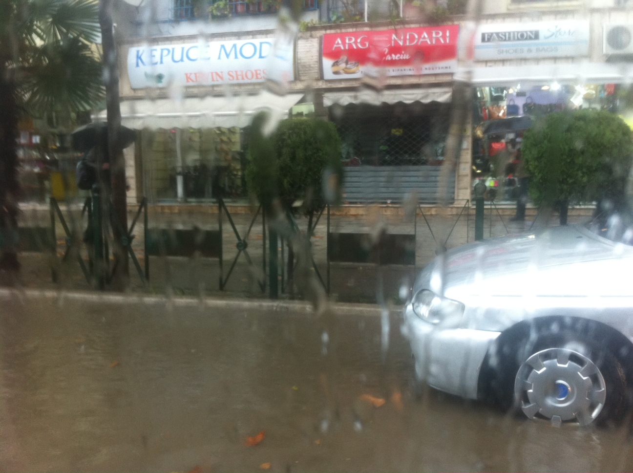 permbytje 21 dhjetori 1