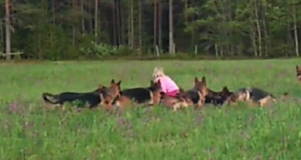 VIDEO/ 5 vjeçarja rrethohet nga 14 pastorë, çfarë ndodh?!