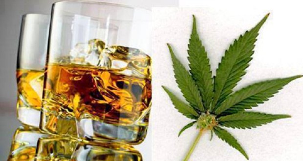 alkool_kanabis_620x330_32477.jpg