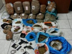 Malësi e madhe, armë, municione dhe 670 bimë narkotike në, në pranga 3 punonjës të administratës