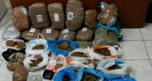 Malësi e madhe, armë, municione dhe 670 bimë narkotike në, në pranga 3 punonjës të administratës