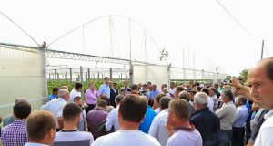 Basha deklaron 4 shtyllat e programit ekonomik të PD