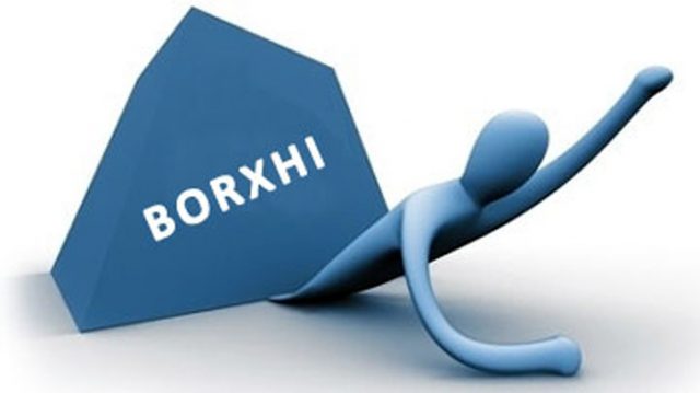 borxhi_publik_17_01_2014_38254.jpg