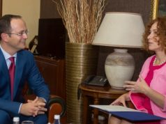 Romana Vlahutin i shkarkoi gruan nga puna, Ditmir Bushati zemërohet me ambasadoren e BE-së