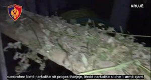VIDEO & EMRI/ Krujë, shndërroi garazhin në “hangar” kanabisi, arrestohet 51-vjeçari