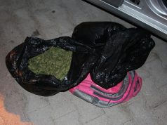 Morinë, “Jupa 1” godet rrjetin e trafikut të drogës Shqipëri-Kosovë, në pranga 5 persona