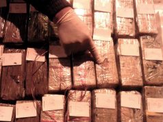 EMRI/ Trafik droge nga Italia në BE, arrestohet i 20-ti në Shqipëri