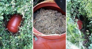 FOTO/ Vlorë, 62 kg drogë në një stan, pranga 74 vjeçarit