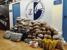 Arrestohen 9 shqiptarë në Janinë, u sekuestrohen 173 kg marijuanë dhe 77 mijë euro