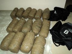 26 kg marijuanë në Port-Durrës, arrestohet i riu nga Tirana