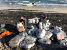 RAPORTI/ Italia bllokoi 6 ton drogë në qershor, Shqipëria “vend nderi” për sasinë dhe numrin e trafikantëve