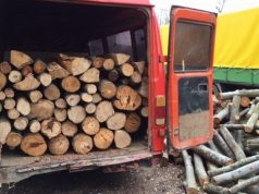 EMRI & FOTO/ Pogradec, lidh bashkëfshatarin dhe i rrëmben drutë e zjarrit