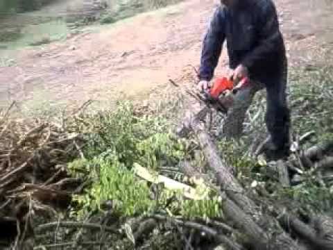 Korçë, shkon në mal të presë dru, humbet jetën 60 vjeçari