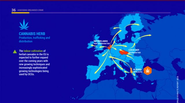 europol_canabis_43543.jpg
