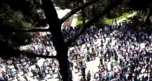 Rama poston video me protestën, ja cfarë i bëjnë komentuesit në Facebook