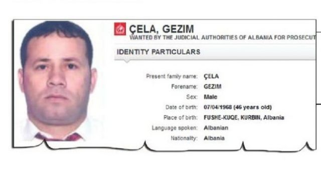 gezim_cela_6619.jpg