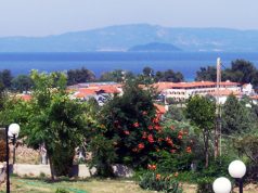 Shqiptari bëhet tmerri i grekëve në një ishull, ja çfarë vidhte