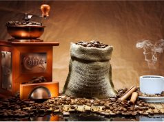 Kafeja – Energji për njeriun dhe plagë për mjedisin