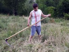 FOTO & VIDEO/ Pronari i drogës së Rrëshenit sfidon policinë me këtë këngë…: Do ta mbjellim tokën se na jep bukën