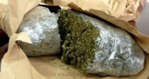 EMRI/ Vlonjati rrihte gruan, policia ia gjen shtëpitë të mbushura me kanabis