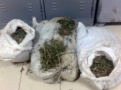 EMRI/ Vlorë, zbulohen 70 kg kanabis te shkallët e pallatit, arrestohet “transportuesi”