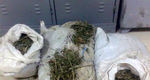 EMRI/ Vlorë, zbulohen 70 kg kanabis te shkallët e pallatit, arrestohet “transportuesi”