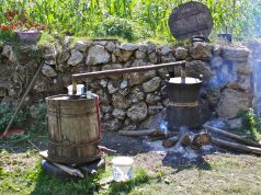 Mendonit se rakia është pija 100 % shqiptare? Gaboheni
