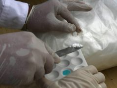 Itali, shqiptari “ia fut vetes”, arrestohet me 2 kg kokainë në makinë