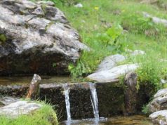 Kufiri mes Kosovës e Shqipërisë…, veç një krua që lidh edhe në krushqi