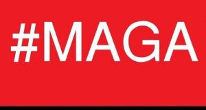 KRESHNIK COLLAKU/Amnezia Rilindase dhe MAGA