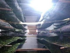 VIDEO/ Rrëshen, pamje nga “fabrika” dhe arrestimet e “varfanjakëve”