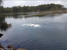 Trembet nga merimanga, përfundon me gjithë makinë në liqen