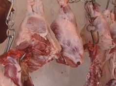 FOTO SKANDALOZE/ Ja çfarë mishi konsumojmë ne dhe në çfarë kushtesh transportohet