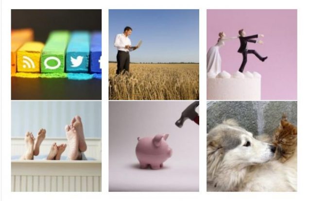 Përgjigjet shkencore për shtatë dilema të mëdha!