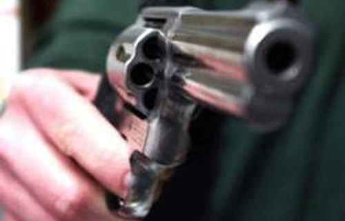 pistolete_500x320_28921.gif