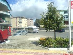 Pukë, grabitet dhe lidhet në pemë punonjësi i një pike bastesh