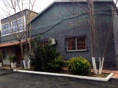 LETRA/ Nëna e dy vajzave e larguar nga puna shkruan: E dashur drejtoreshë…!