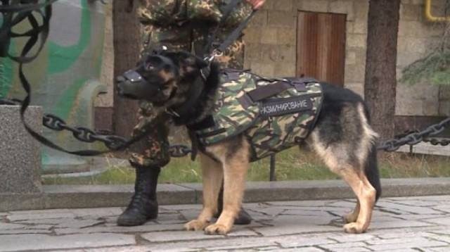 FOTO LAJM/ Qentë policë tani e tutje me antiplumb