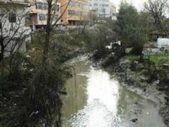 100 miliardë qese plastike, Europa ndalon përdorimin