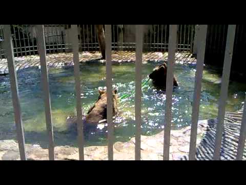 NJË ORË/Rama takoi Metën tek Sofra e Ariut