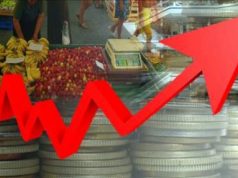 Specialistët e ekonomisë kundër Ramës: Skema e TVSH-së për bizneset e vogla do të rrisë çmimet masivisht