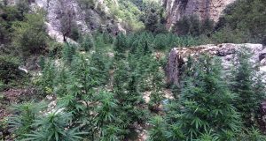 REAGIMI/ Edi Rama e ka minuar integrimin e Shqipërisë në BE