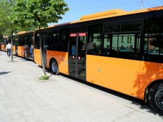 Tiranë, autobusi i Kombinatit përplas të moshuarën