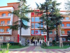 Vlorë, vajza sulmon dhe plagos me thikë nënën e saj