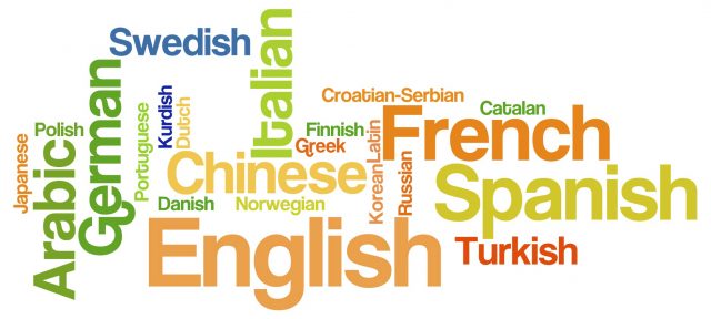 word_cloud_language_41882.jpg