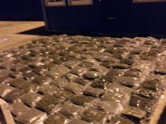 VIDEO & EMRI/ Porti Durrës, në kamionin me kastravecë u bllokuan 705 kg kanabis, arrestohet shoferi