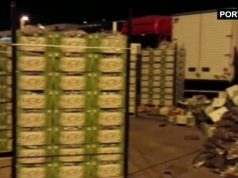 VIDEO/ Porti Durrës, ja si u gjet droga e fshehur mes kastravecëve