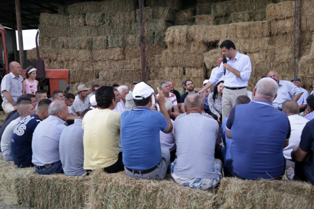 Lulzim basha, Hamil Fier